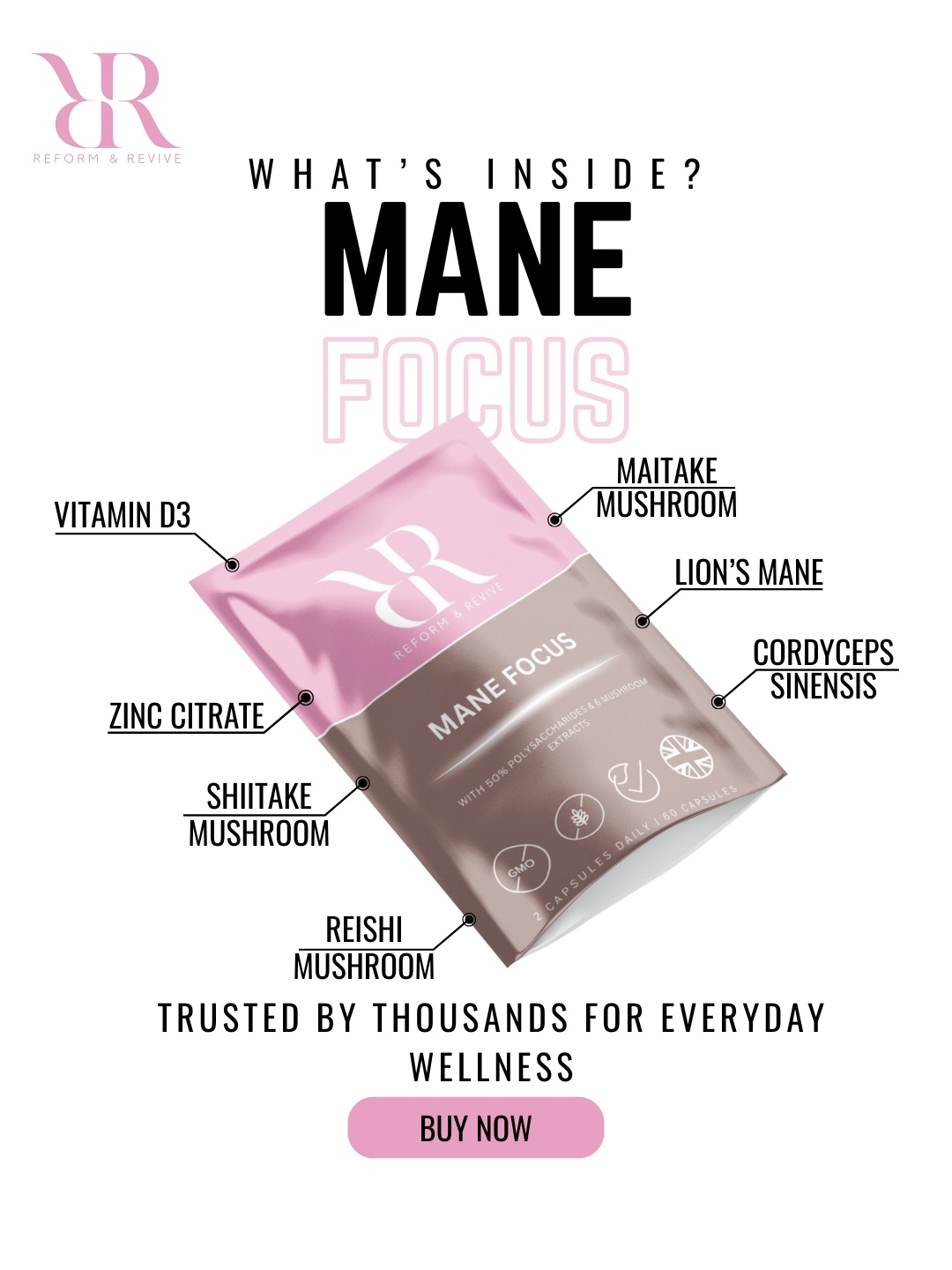 Mane Focus+ Clarity & Cognitive Support Reform and Revive