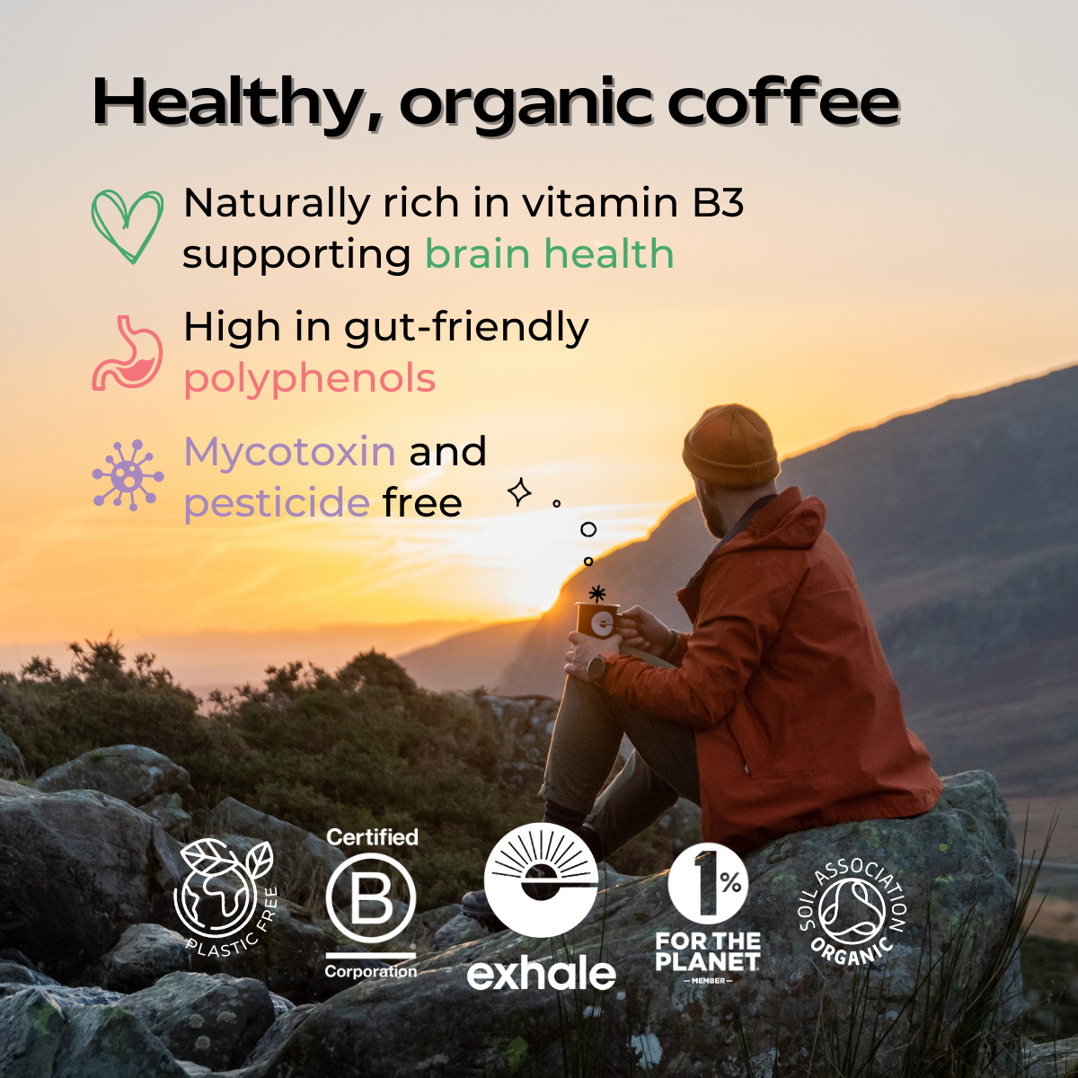Organic Decaf Coffee