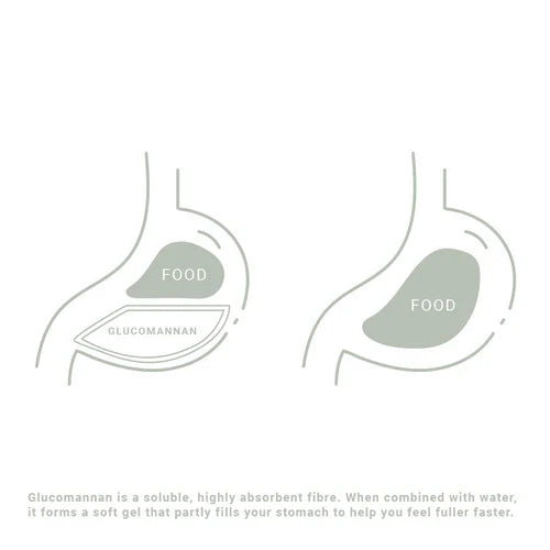 GP Nutrition Fibre