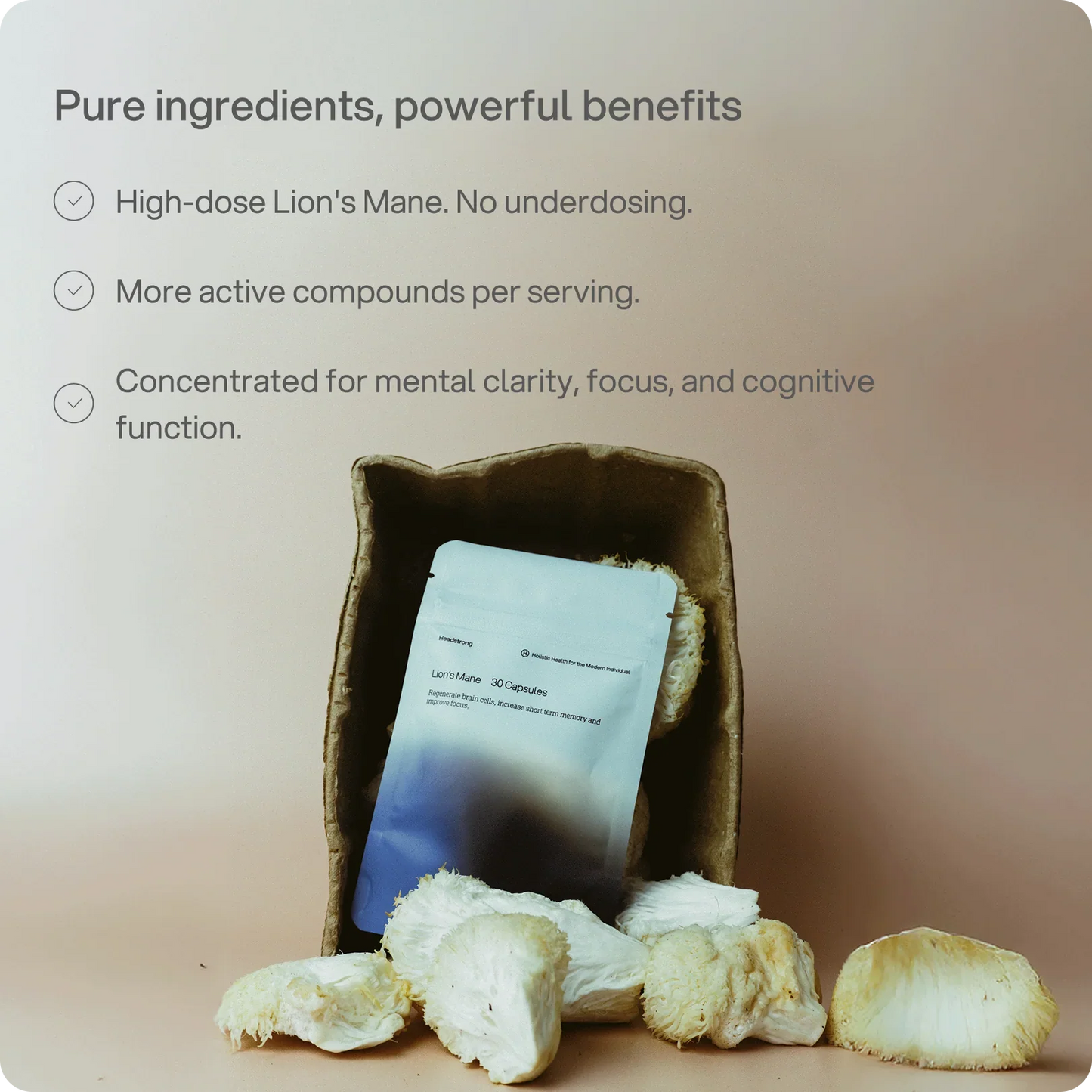 Headstrong Lion's Mane Mushroom Capsules