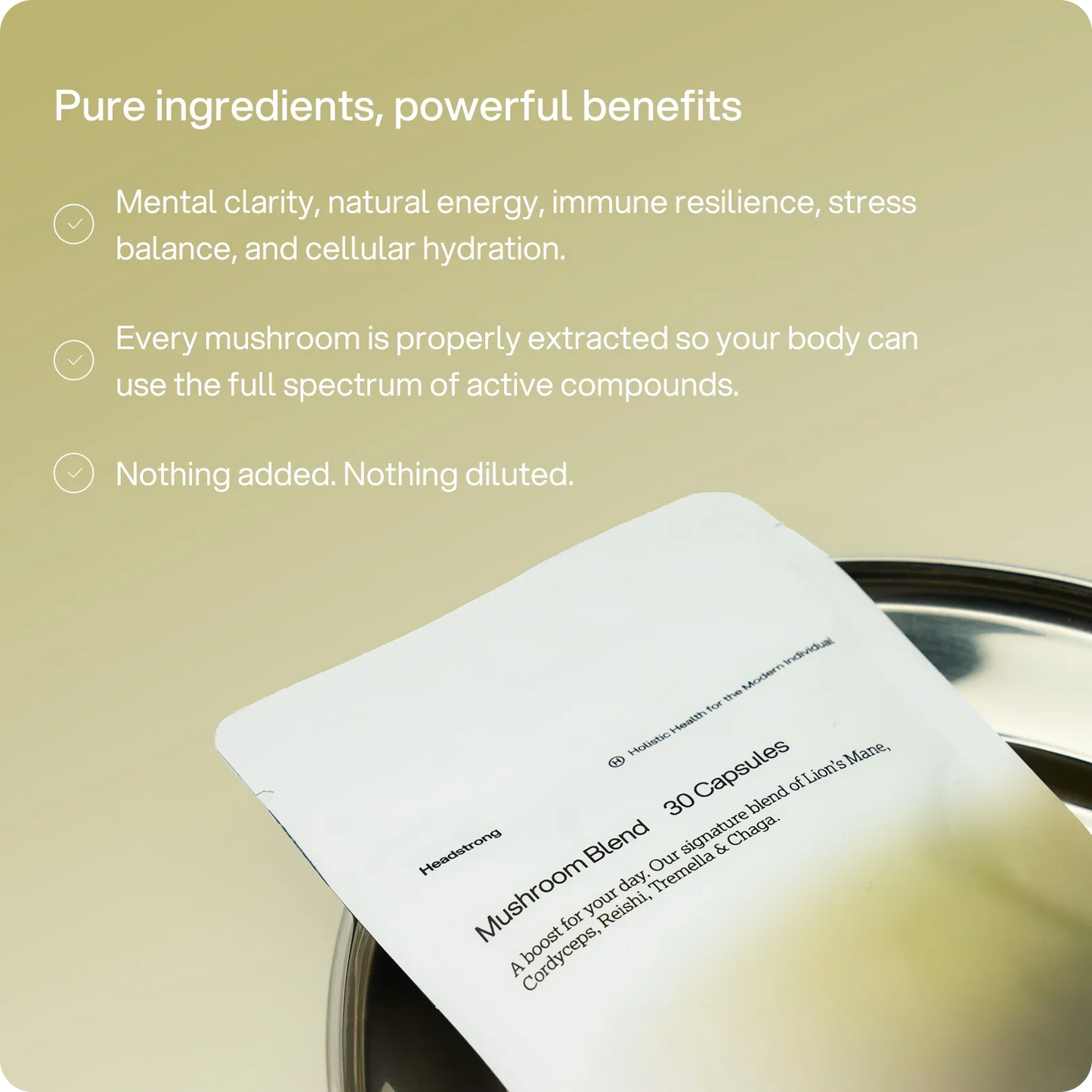 Headstrong Mushroom Blend Capsules
