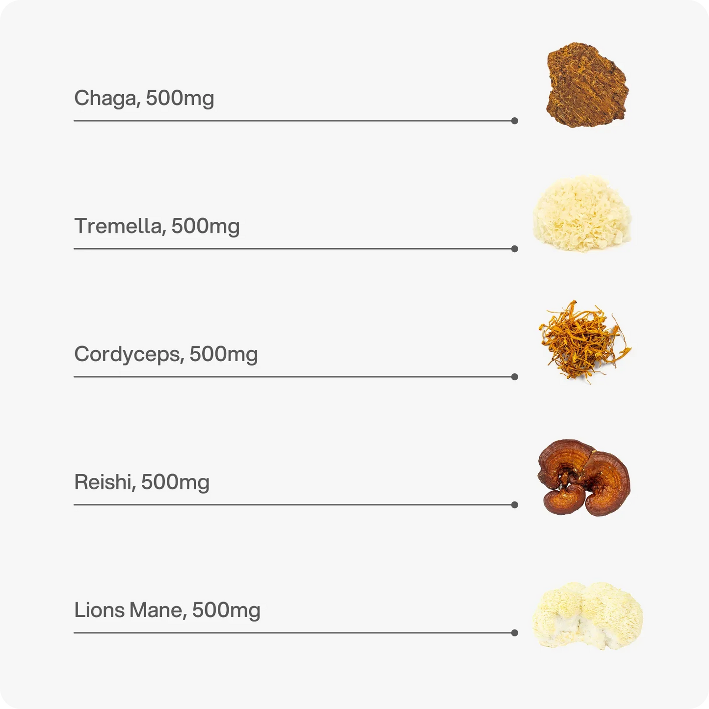 Headstrong Mushroom Blend Capsules