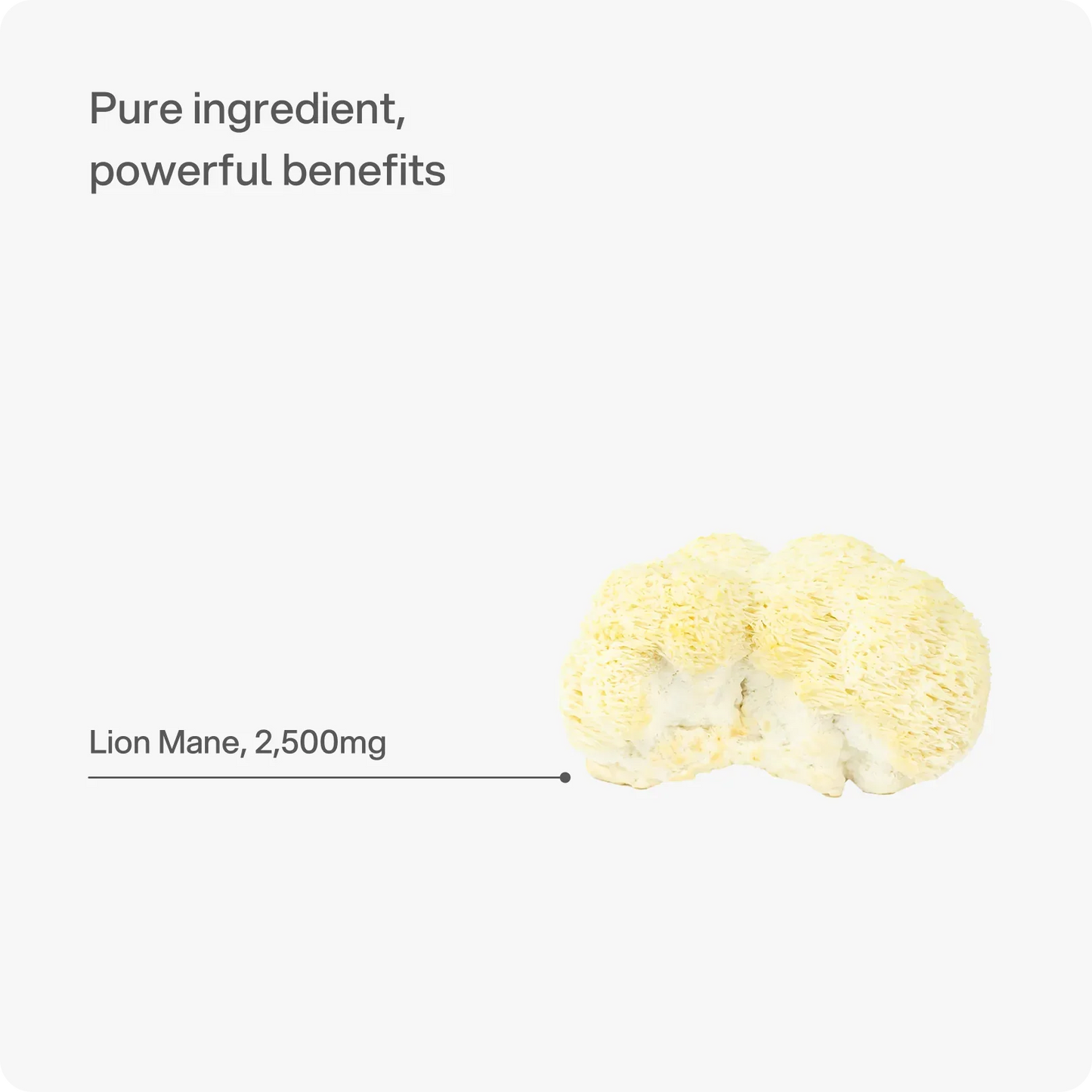 Headstrong Lion's Mane Mushroom Capsules