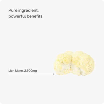 Headstrong Lion's Mane Mushroom Capsules