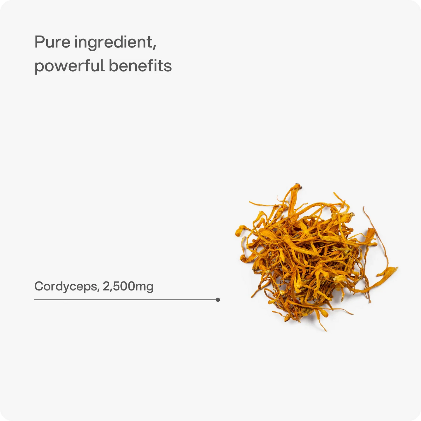 Headstrong Cordyceps Mushroom Capsules