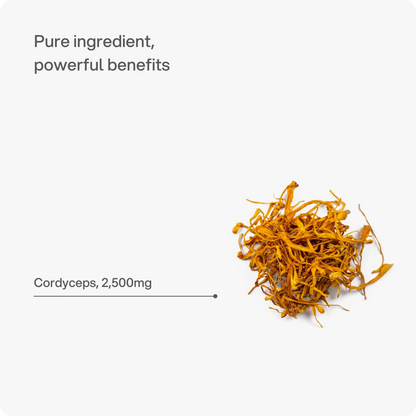 Headstrong Cordyceps Mushroom Capsules