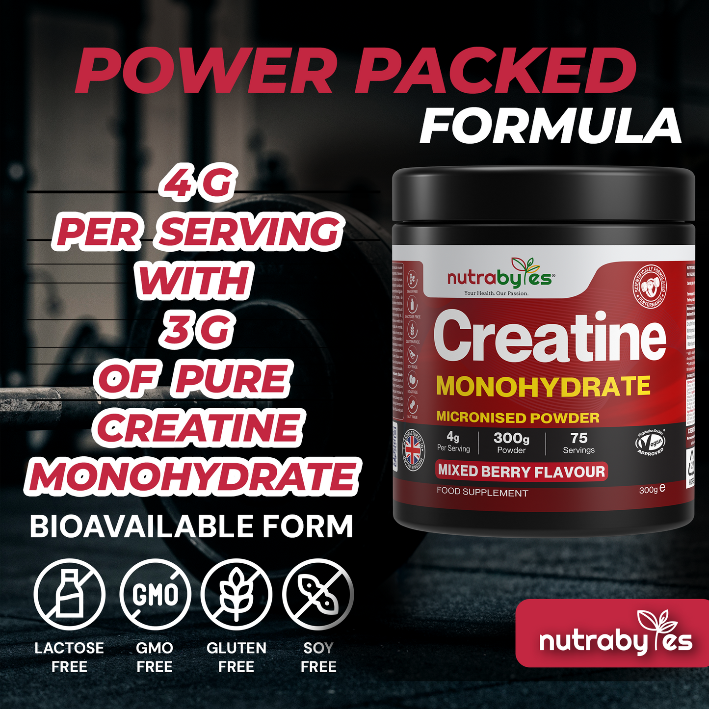 Flavoured Creatine Monohydrate Powder 300g (75 Servings) | Micronised Creatine Powder | Supplement for Women & Men | Vegan Certified