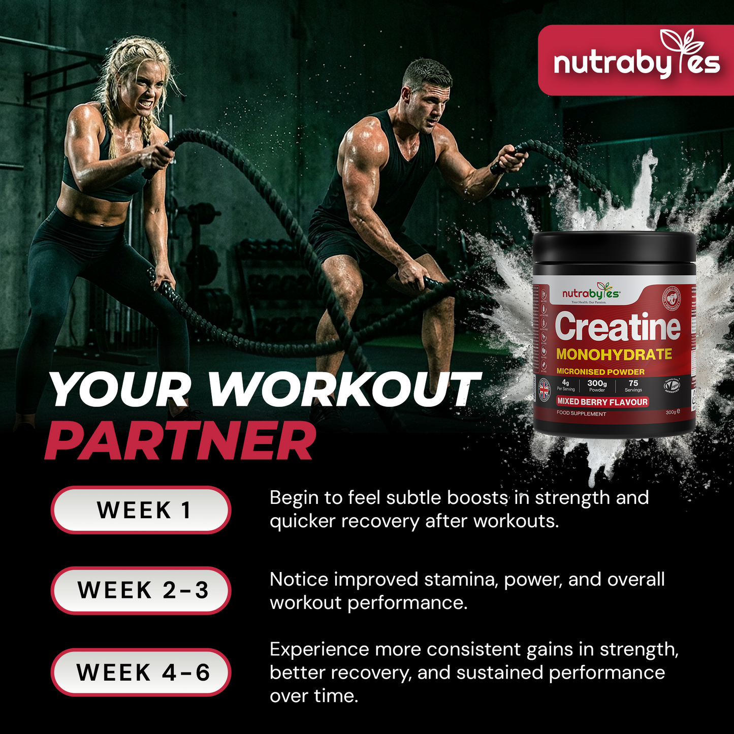 Flavoured Creatine Monohydrate Powder 300g (75 Servings) | Micronised Creatine Powder | Supplement for Women & Men | Vegan Certified