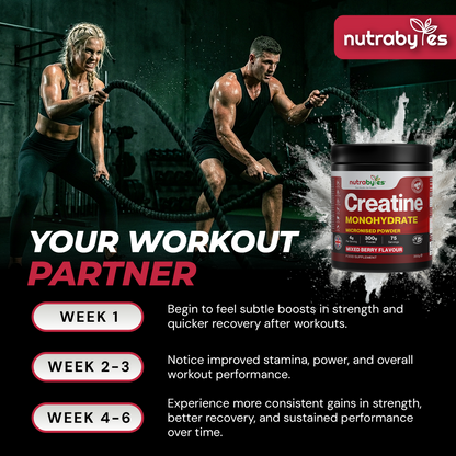 Flavoured Creatine Monohydrate Powder 300g (75 Servings) | Micronised Creatine Powder | Supplement for Women & Men | Vegan Certified