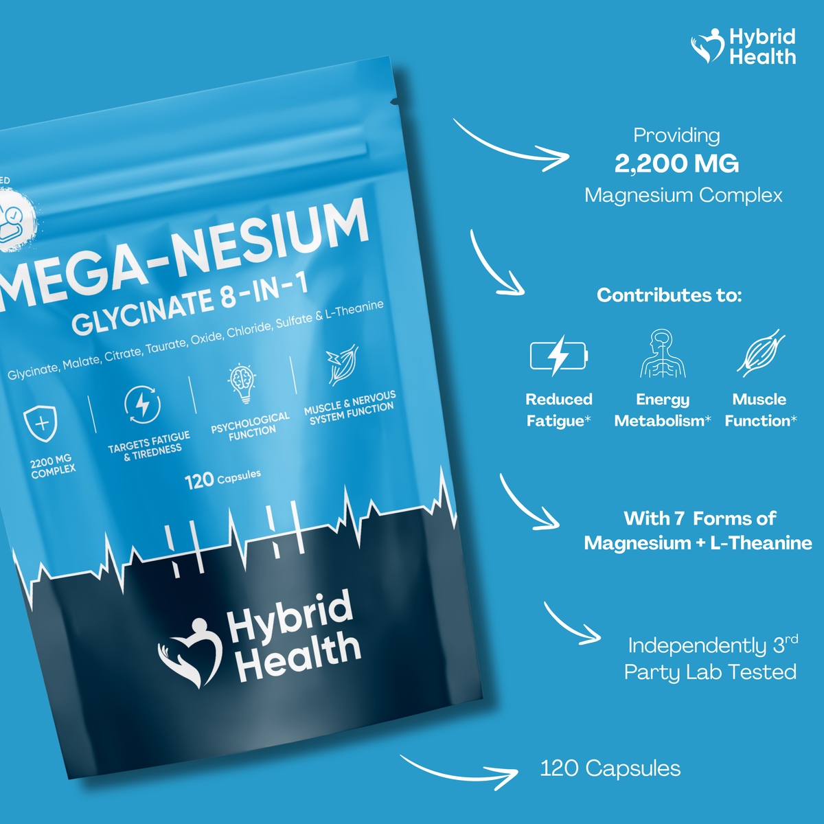 The Sleep Bundle Hybrid Health
