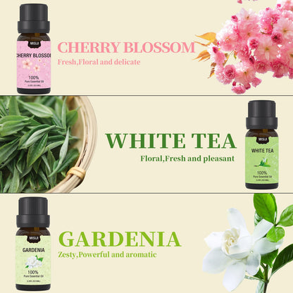 MISIJI Essential Oils Set – 6 x 10ml for Diffusers, Aromatherapy, Laundry & DIY