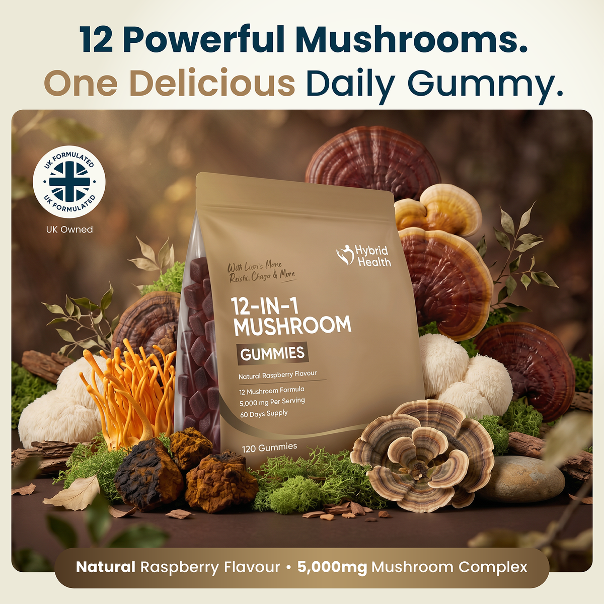 12-in-1 Mushroom Gummies Hybrid Health