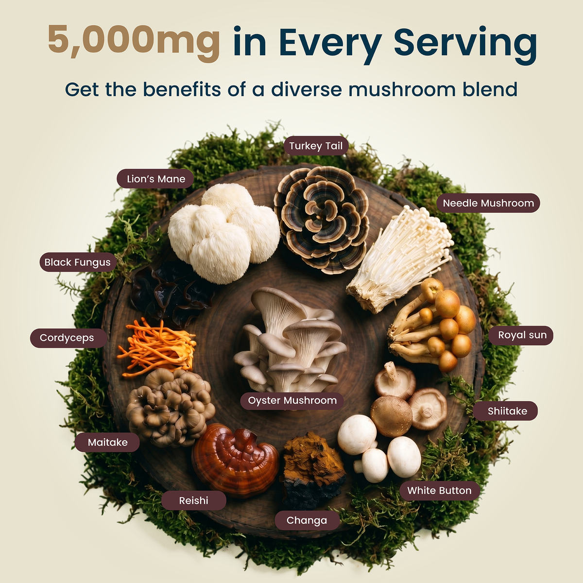 12-in-1 Mushroom Gummies Hybrid Health