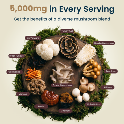12-in-1 Mushroom Gummies Hybrid Health