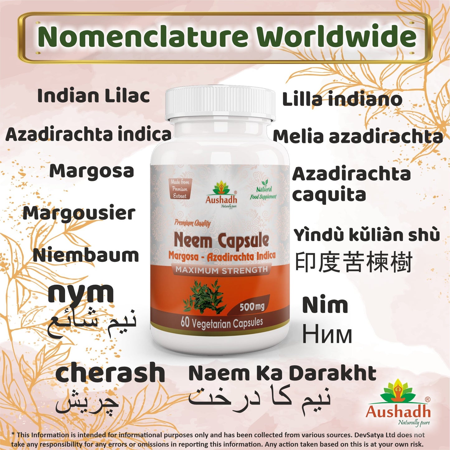 Aushadh Neem Capsules (Margosa) Skin & Immune Wellness Support - Vegan, Gluten Free, Non-GMO, 60 Capsules
