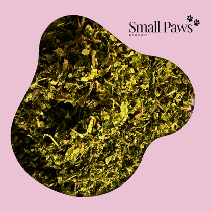 Nettle
