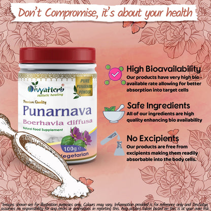 DivyaHerb Punarnava Powder 100 gram - Daily Wellness Support