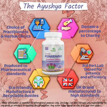 Ayushya Punarnava Capsules (Boerhavia Diffusa, Hogweed) Urinary Wellness Support - Vegan, Gluten Free, Non-GMO, 60 Capsules