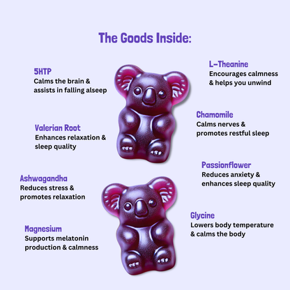 The Sleep Bundle Hybrid Health