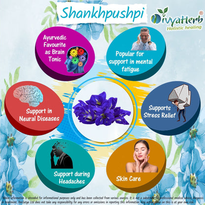 DivyaHerb Shankpushpi Powder 100 gram - Calm & Focus Support