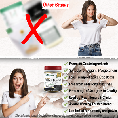 DivyaHerb Shilajit Powder 100 gram - Daily Vitality Support