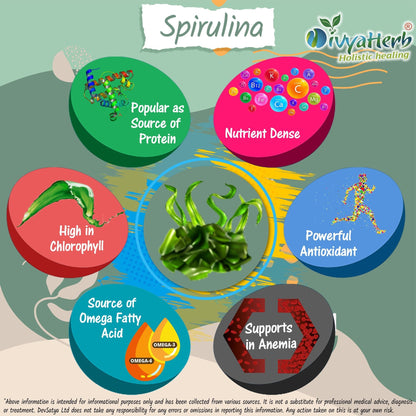 DivyaHerb Spirulina Powder 100 gram - Daily Vitality Support