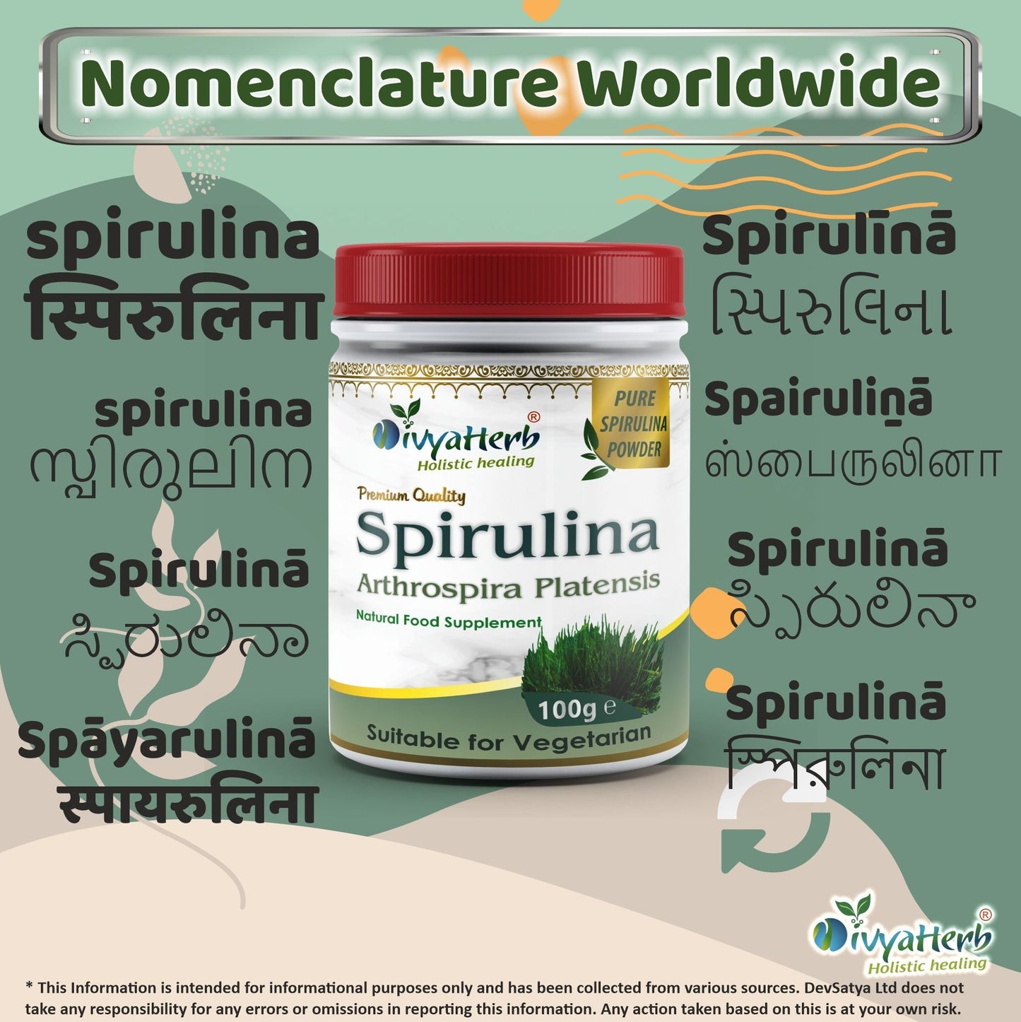 DivyaHerb Spirulina Powder 100 gram - Daily Vitality Support