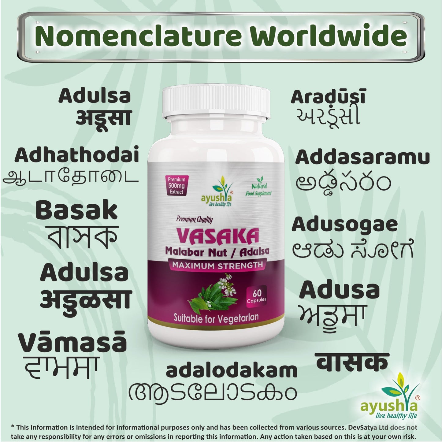 Ayushya Vasaka Capsules (Malabar Nut, Adulsa) Respiratory Comfort Support - Vegan, Gluten Free, Non-GMO, 60 Capsules