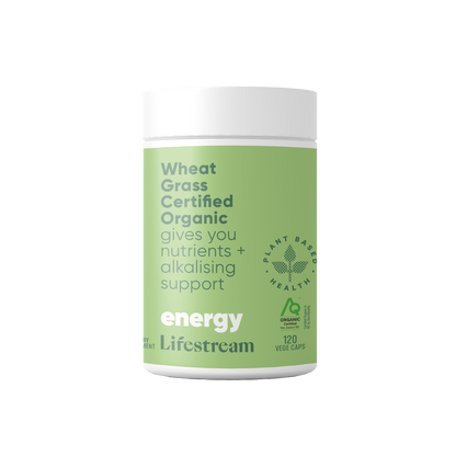 Lifestream Wheat Grass
