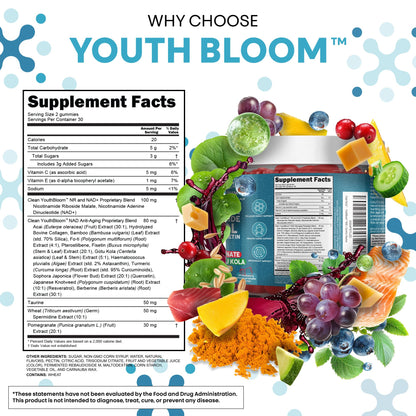 Youth Bloom NAD+ Gummies - Resveratrol, Turmeric & Collagen (60 Ct) | Clean Nutra
