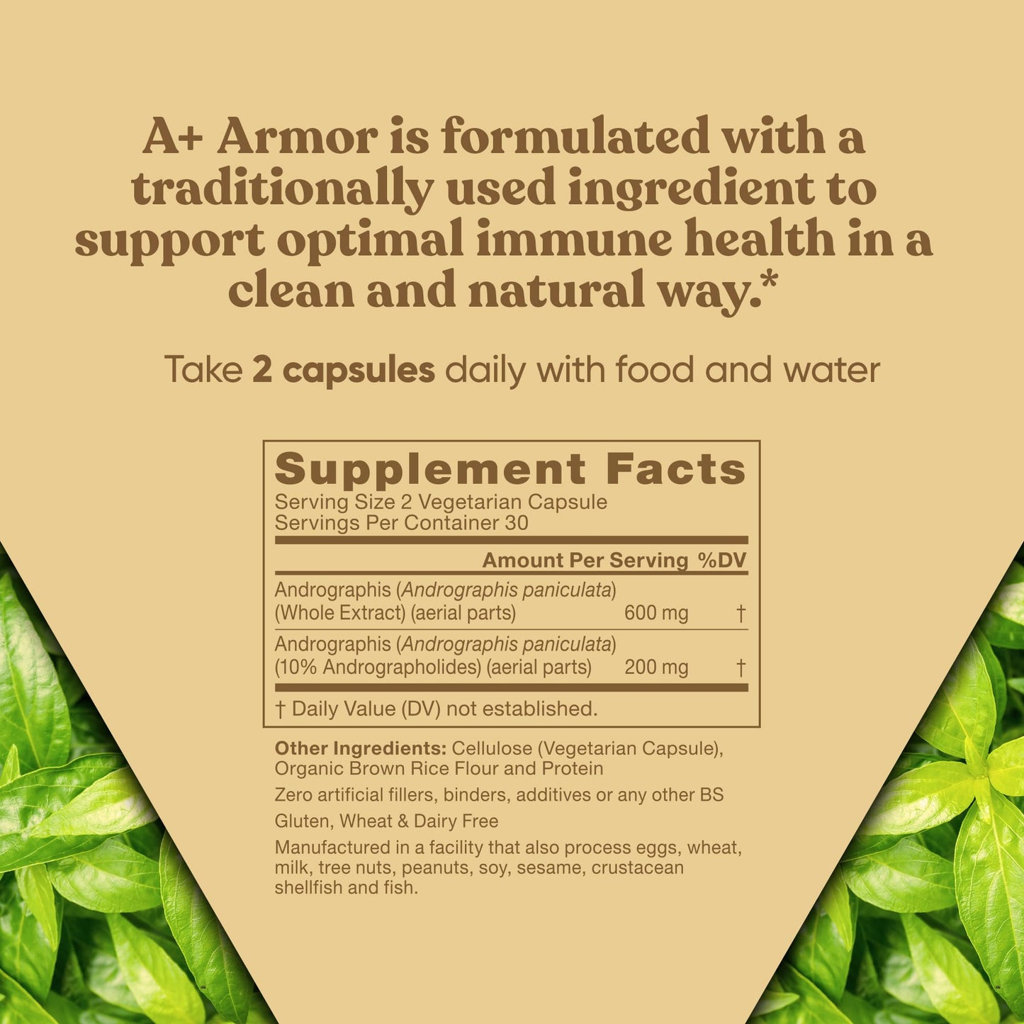 A+ Armor Andrographis Pure 800 mg – Immune Support, 60 Vegan Soft Capsules