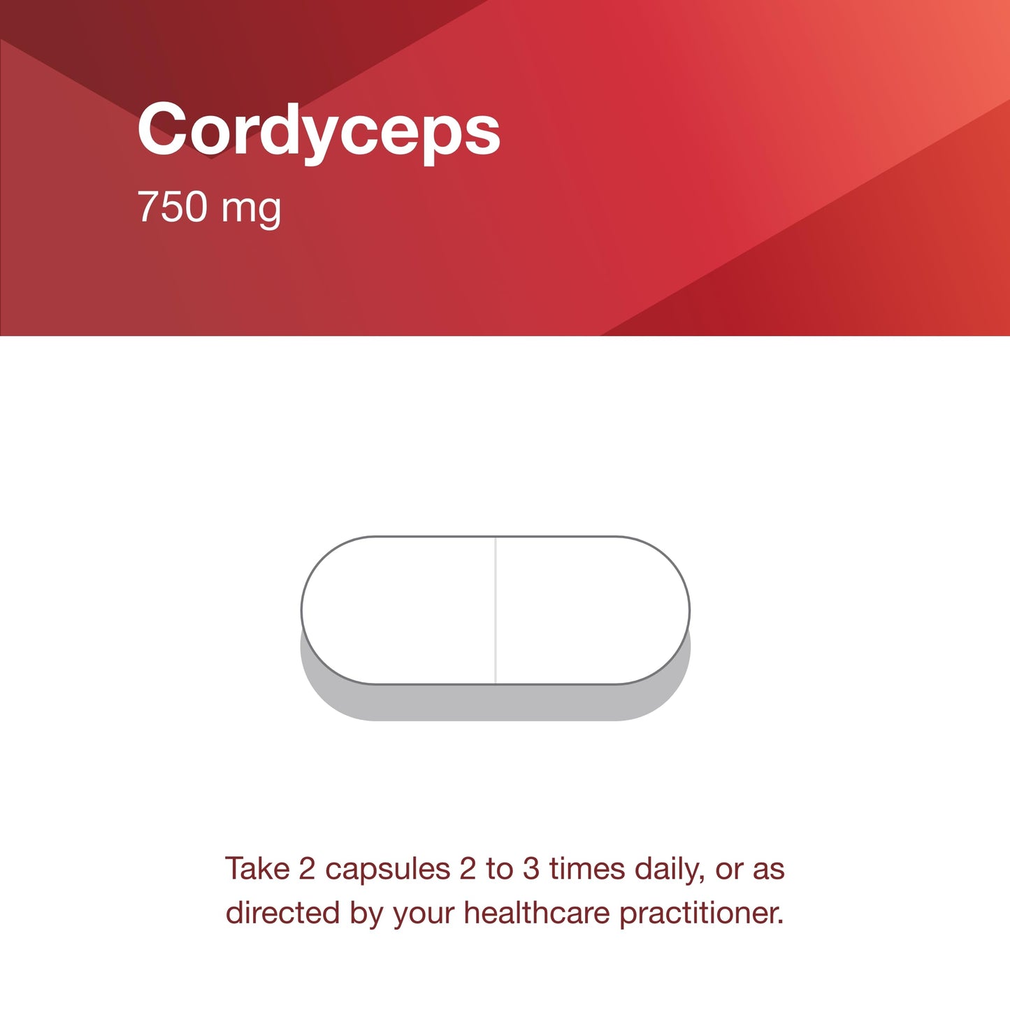Protocol Cordyceps 750mg – Immune Support & Vascular Health | Non-GMO | 90 Veg Caps
