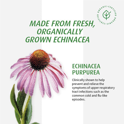 A Vogel Echinaforce 120 CT - Immune Support & Cold Relief