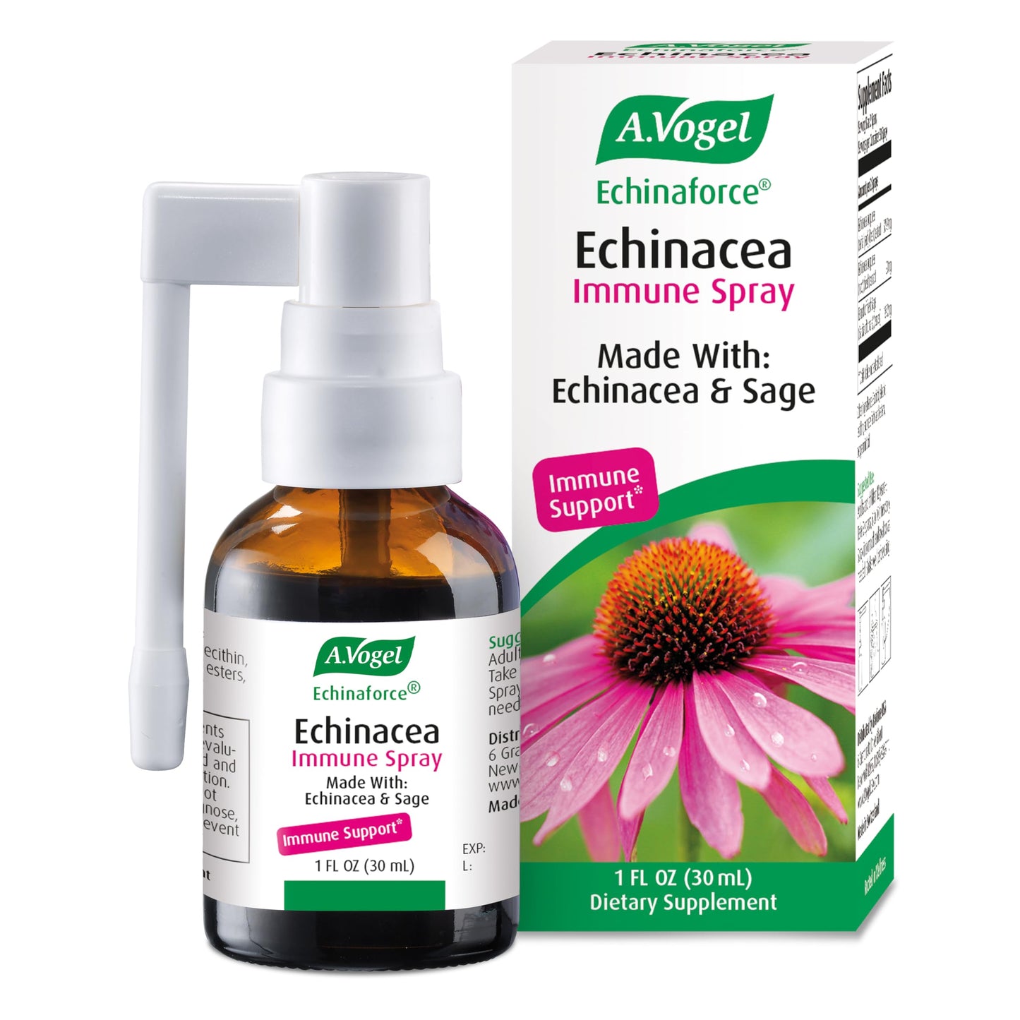 A. Vogel Echinaforce Throat Spray – Organic Echinacea & Sage, Immune Support, 1 fl oz