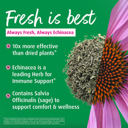 A. Vogel Echinaforce Throat Spray – Organic Echinacea & Sage, Immune Support, 1 fl oz