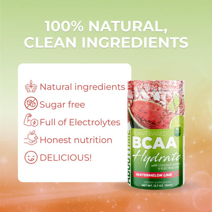 About Time BCAA Hydration Powder Watermelon Lime – L-Glutamine & Electrolytes, Non-GMO, Gluten Free, Monk Fruit, Coconut Water, 20 Servings