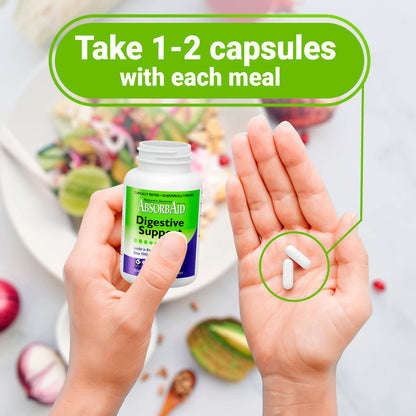 Nature's Sources AbsorbAid Digestive Support - 90 Vcaps