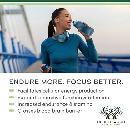 Acetyl L-Carnitine 1000mg – 150 Capsules | Brain Function & Endurance
