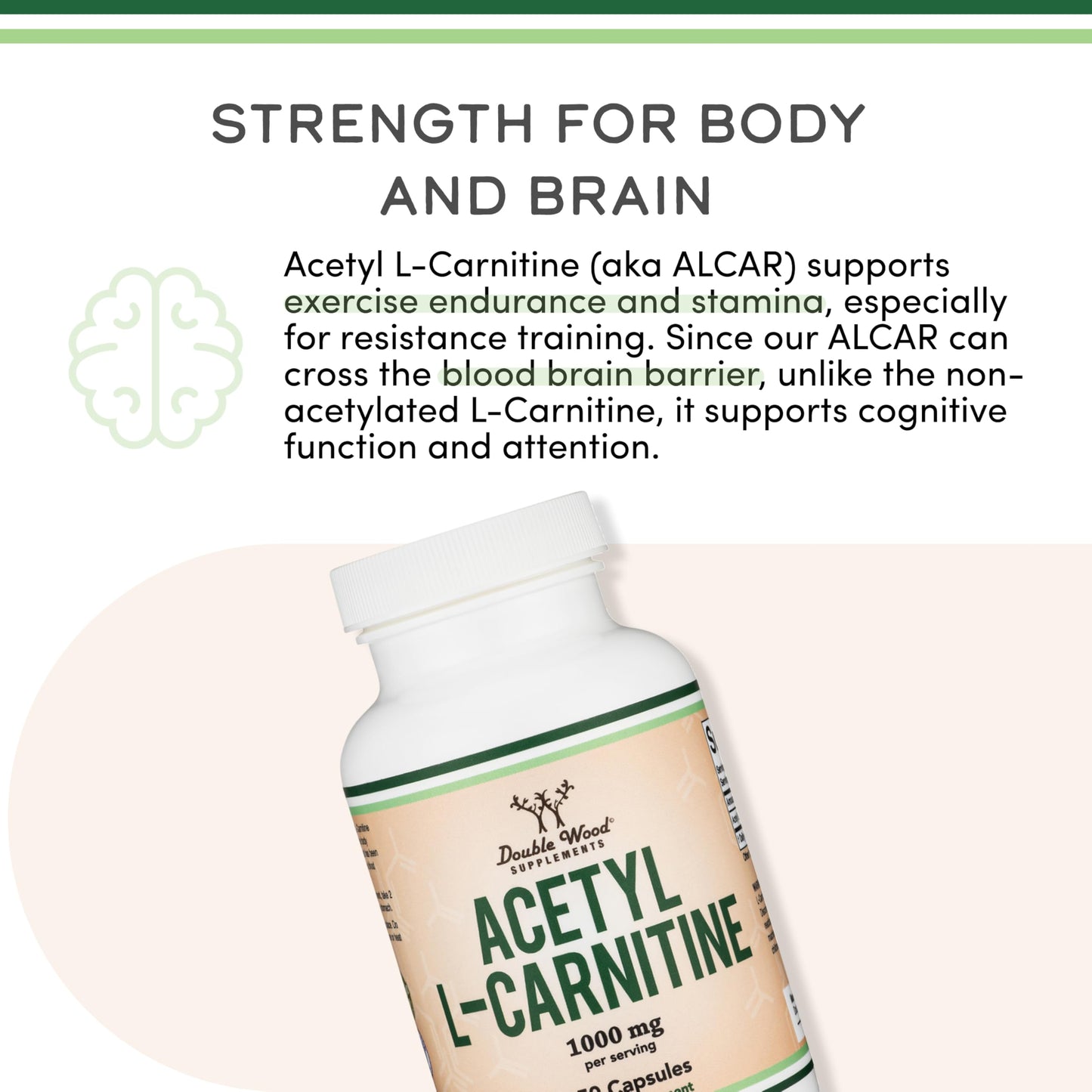 Acetyl L-Carnitine 1000mg – 150 Capsules | Brain Function & Endurance