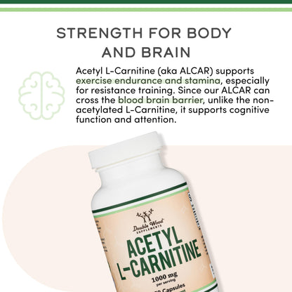 Acetyl L-Carnitine 1000mg – 150 Capsules | Brain Function & Endurance
