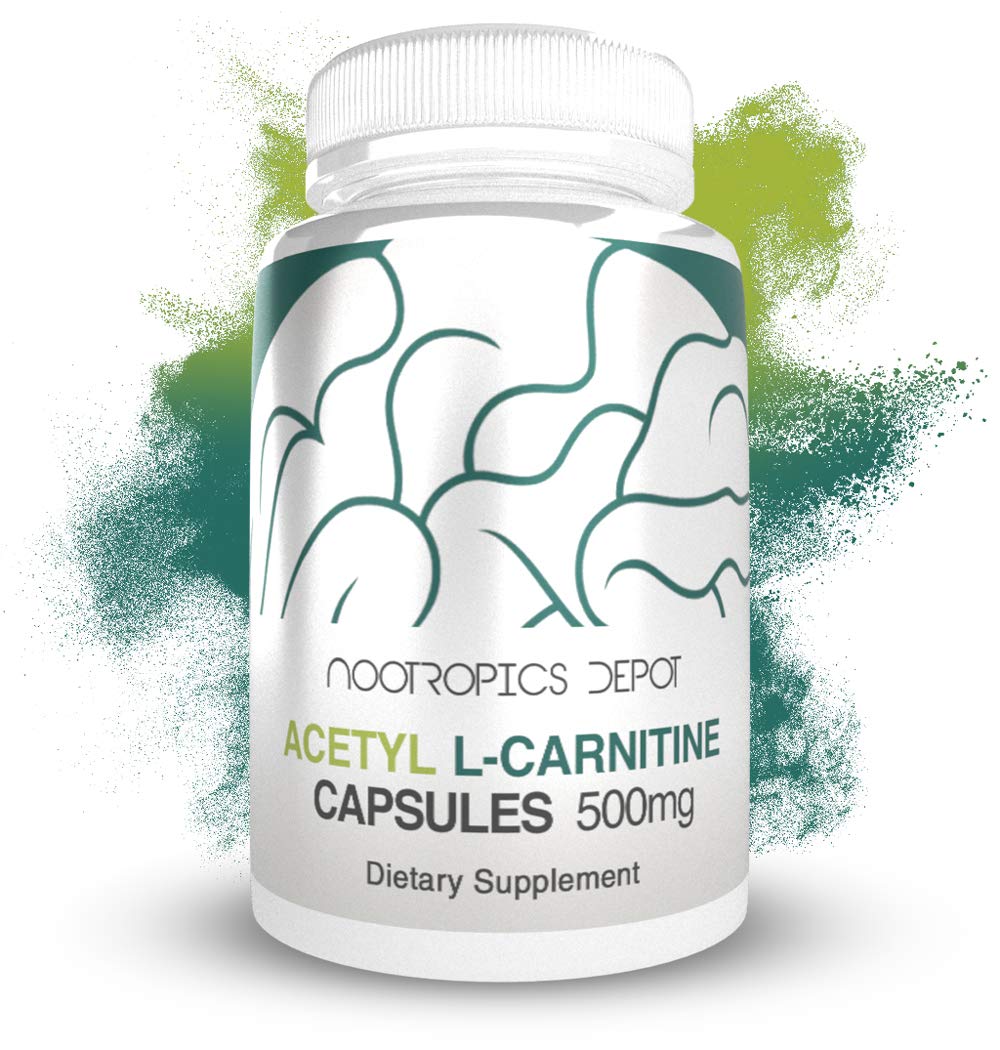 Acetyl L-Carnitine 500mg Capsules (ALCAR HCL) – 90 Count | Nootropics Depot