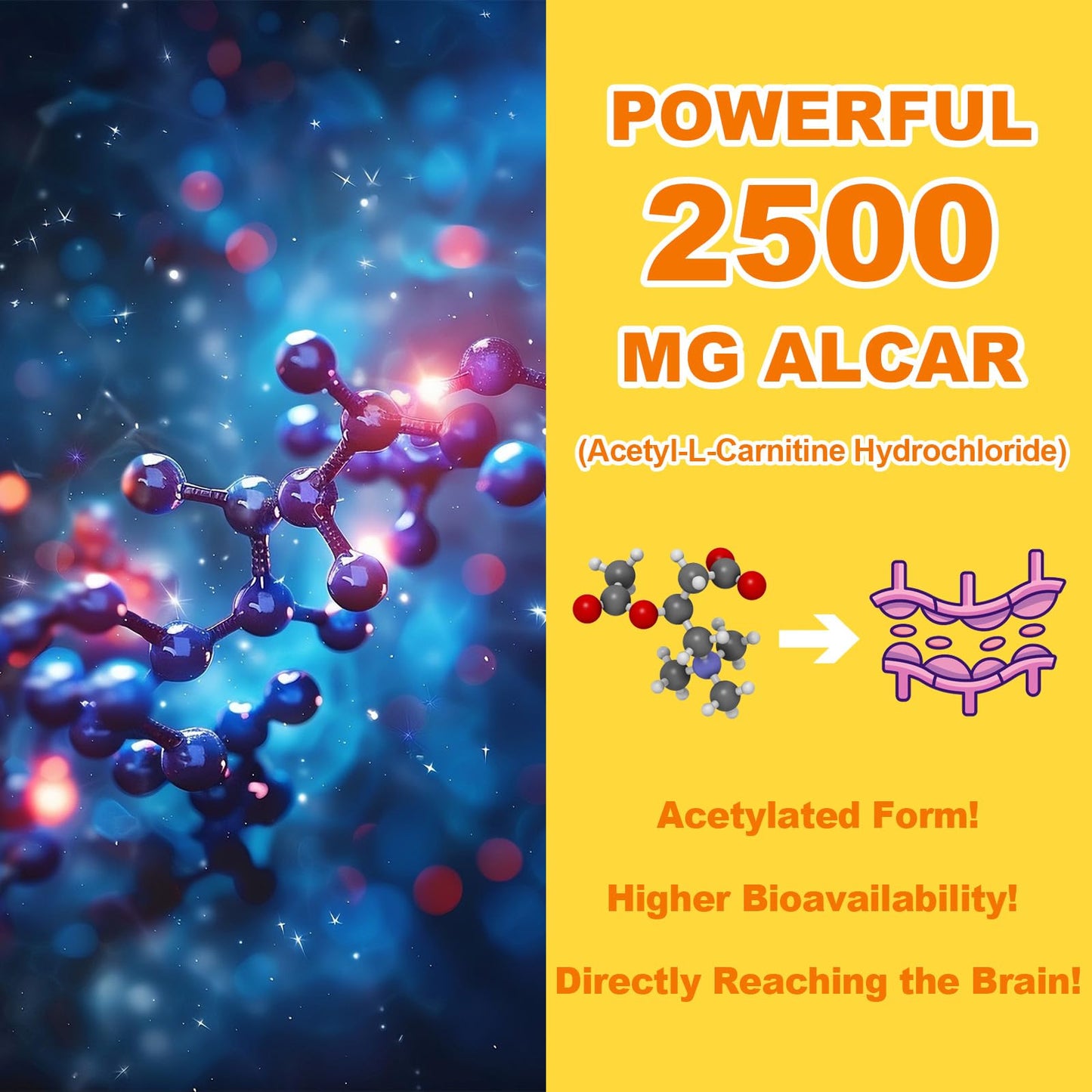 2 Pack Acetyl L-Carnitine Gummies Sugar Free - Premium L-Carnitine Supplement for Energy, Focus & Brain Support | 120 Count