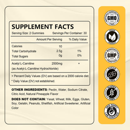 2 Pack Acetyl L-Carnitine Gummies Sugar Free - Premium L-Carnitine Supplement for Energy, Focus & Brain Support | 120 Count