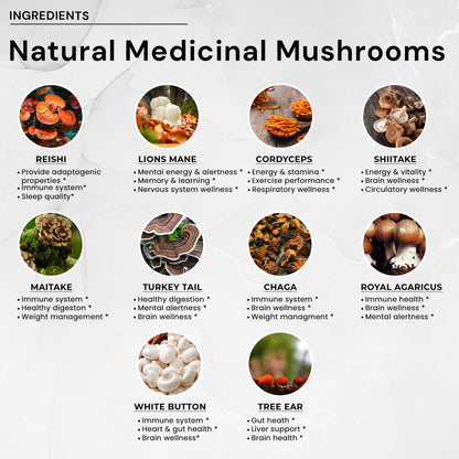 ACEWORKZ 10 Mushroom Complex – Brain Health, Focus & Immune Support (90 Capsules)