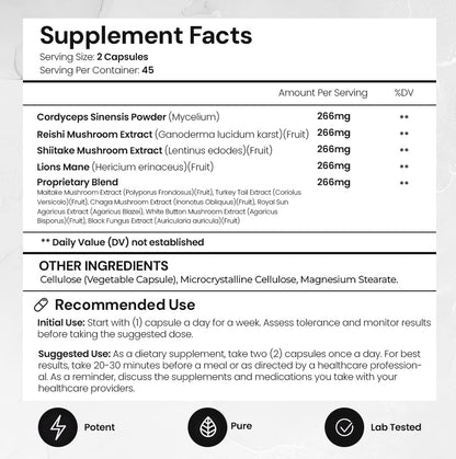 ACEWORKZ 10 Mushroom Complex – Brain Health, Focus & Immune Support (90 Capsules)