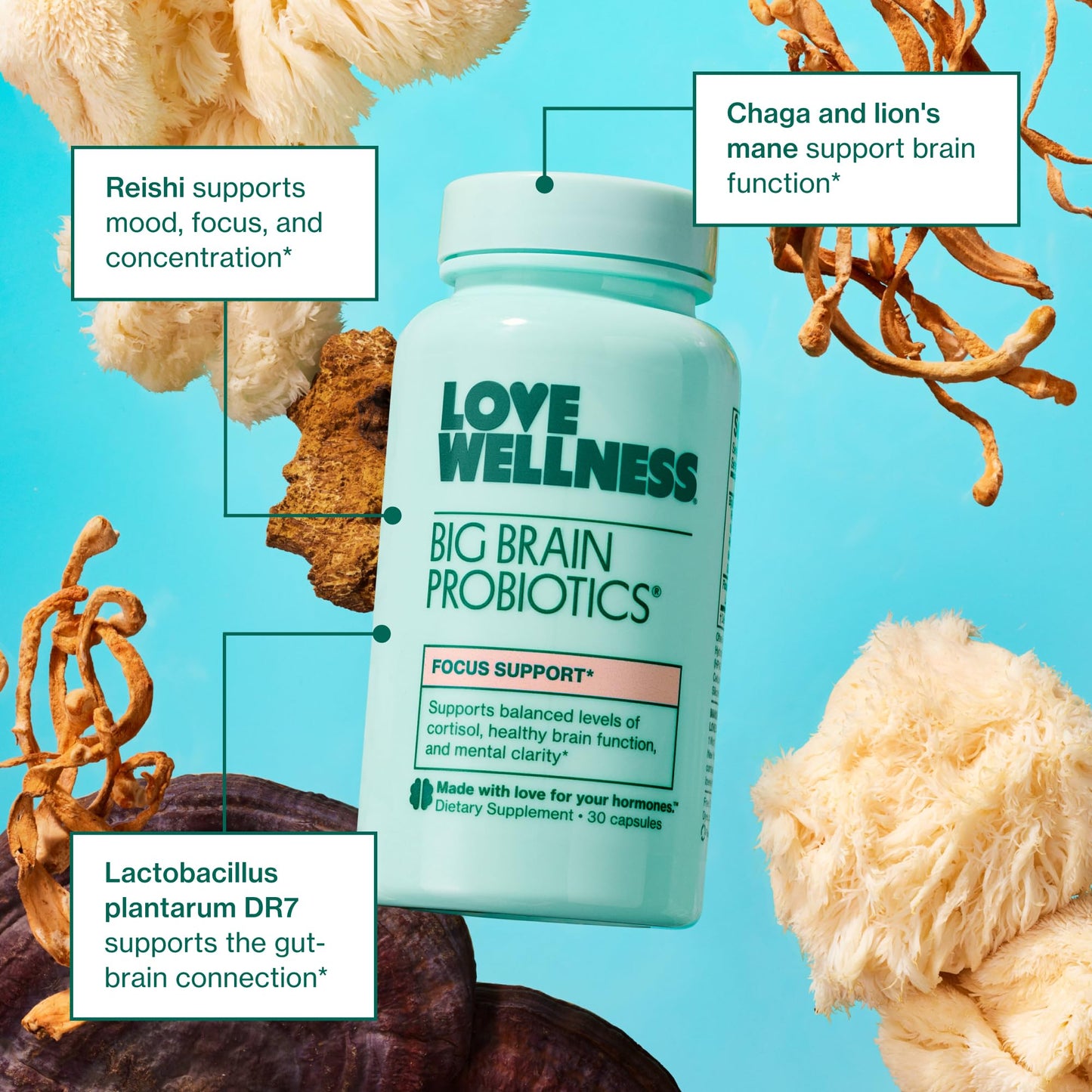 Love Wellness Mind & Body Duo — Daily Love Multivitamin + Big Brain Probiotics