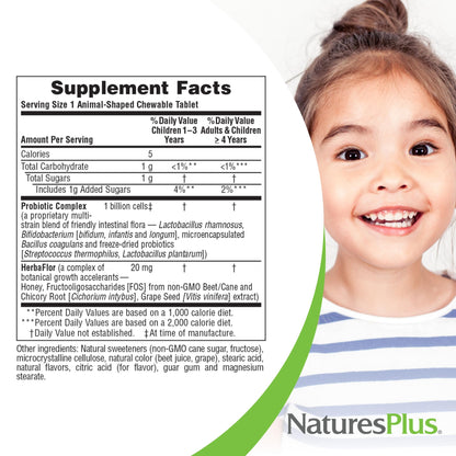 NaturesPlus Animal Parade AcidophiKidz Berry Flavor 90 Chewables – 2-Pack with Probiotics, FOS & Grape Seed | 180 Total Servings