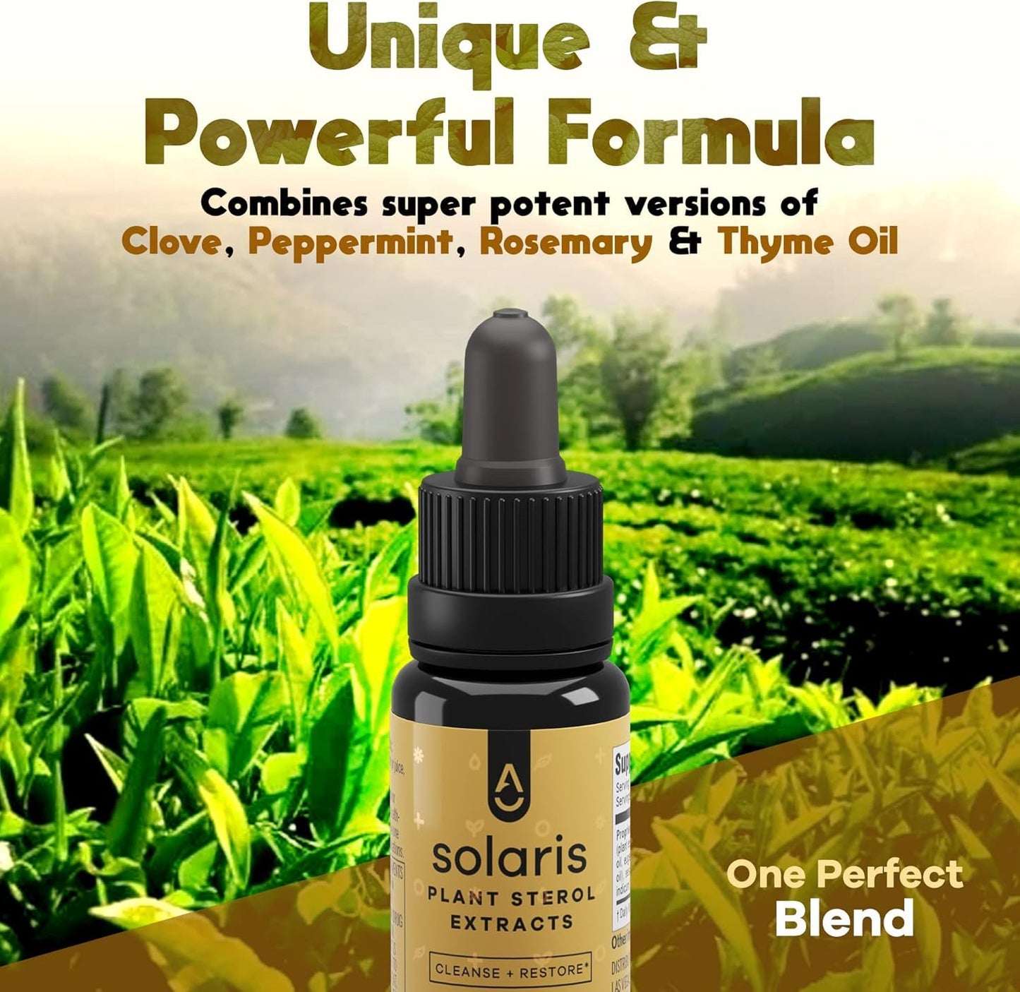 ACTIVATION Solaris Essential Oil - 10 ml | Thyme, Peppermint, Rosemary & Clove | Diffuser & Topical Use