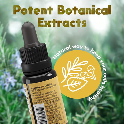 ACTIVATION Solaris Essential Oil - 10 ml | Thyme, Peppermint, Rosemary & Clove | Diffuser & Topical Use