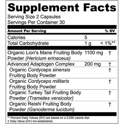 Live Conscious Lions Mane Mushroom Supplement Capsules for Brain Support - Lion's Mane, Cordyceps, Reishi & Turkey Tail